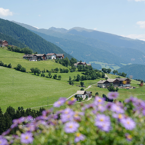 Panoramablick auf das Pustertal und die Dolomiten, mit der Pension Wiesenrain eingebettet in die grünen Wiesen von Meransen.