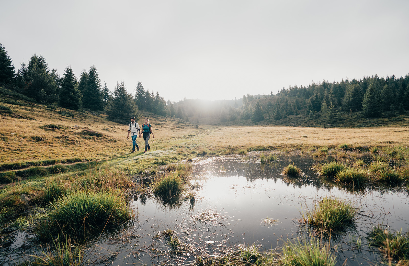 Zwei Wanderer gehen auf einem grasbewachsenen Pfad im Pustertal, mit Tannen und einem kleinen See, der die Sonne reflektiert. Ideal für Ihren Urlaub in Meransen.