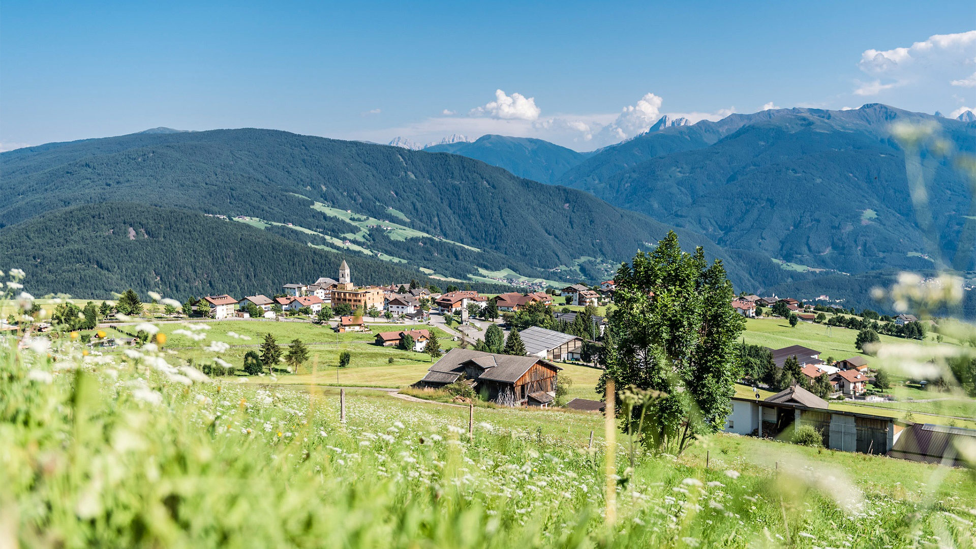 Maranza in Pustertal: Panoramablick auf das Dorf und die Dolomiten, mit blühenden Wiesen im Vordergrund.