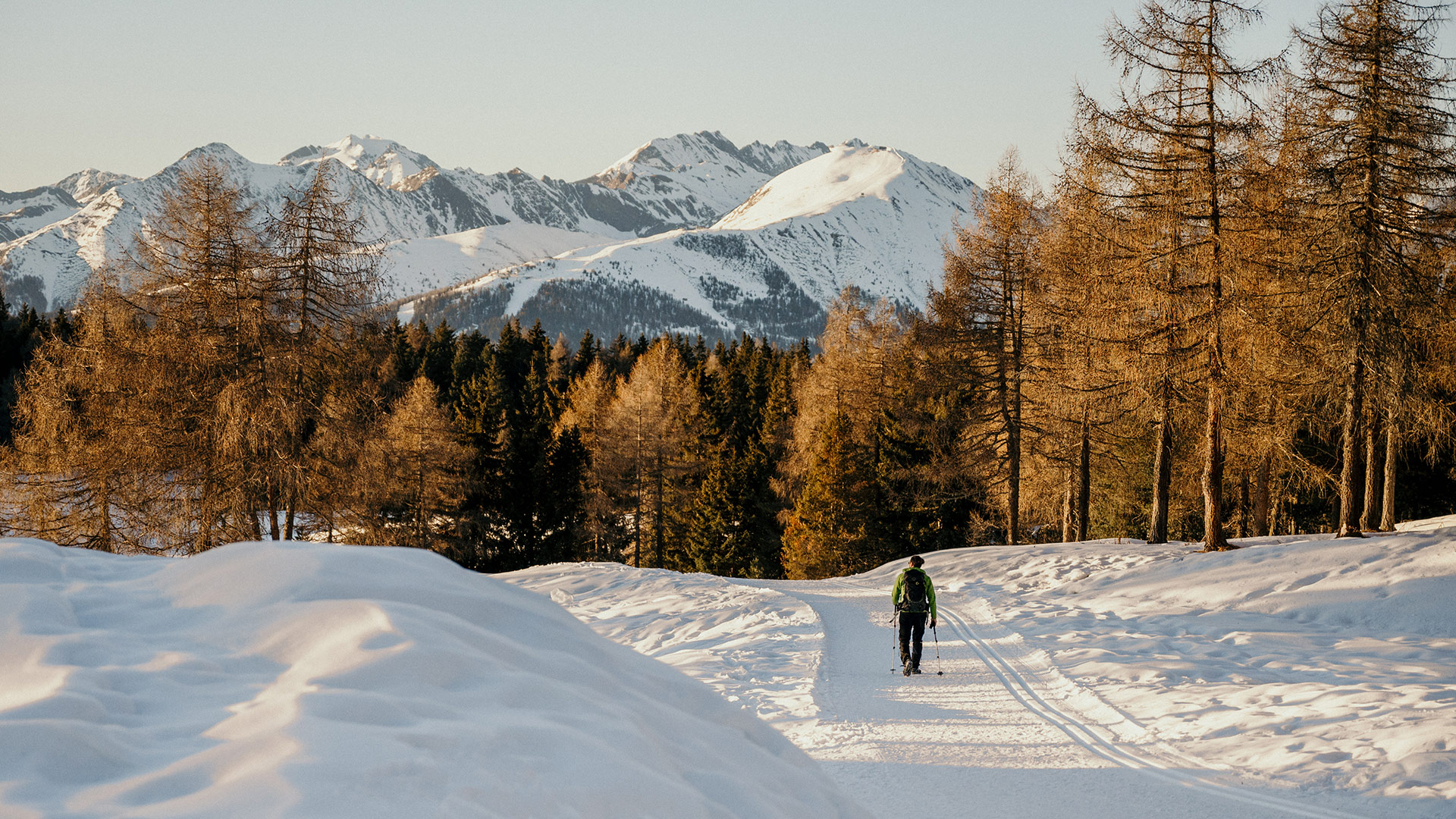 Ein Wanderer mit Schneeschuhen auf einer verschneiten Piste in Maranza, mit Lärchen und den Dolomiten.